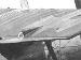 Albatros D.V Jasta 11 Manfred von Richthofen crash Wervicq 7 July 1917 (0062-07) detail wing